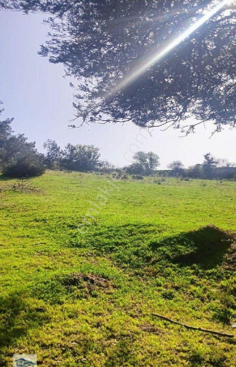 İzmir, Kınık, Büyükoba'da Satılık Tarlalar - Görsel 20