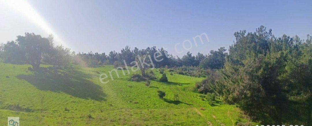 İzmir, Kınık, Büyükoba'da Satılık Tarlalar - Görsel 4