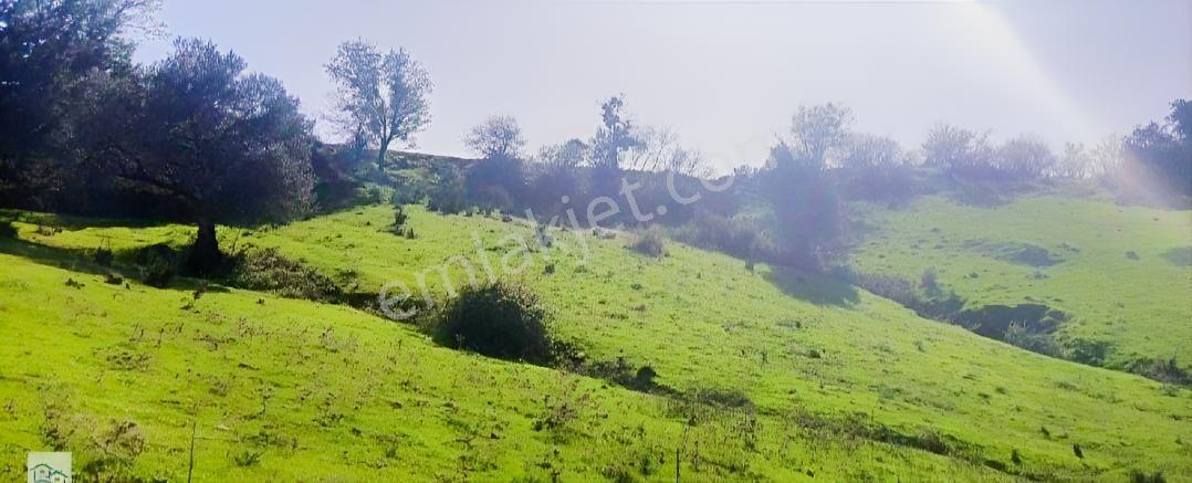 İzmir, Kınık, Büyükoba'da Satılık Tarlalar - Görsel 25