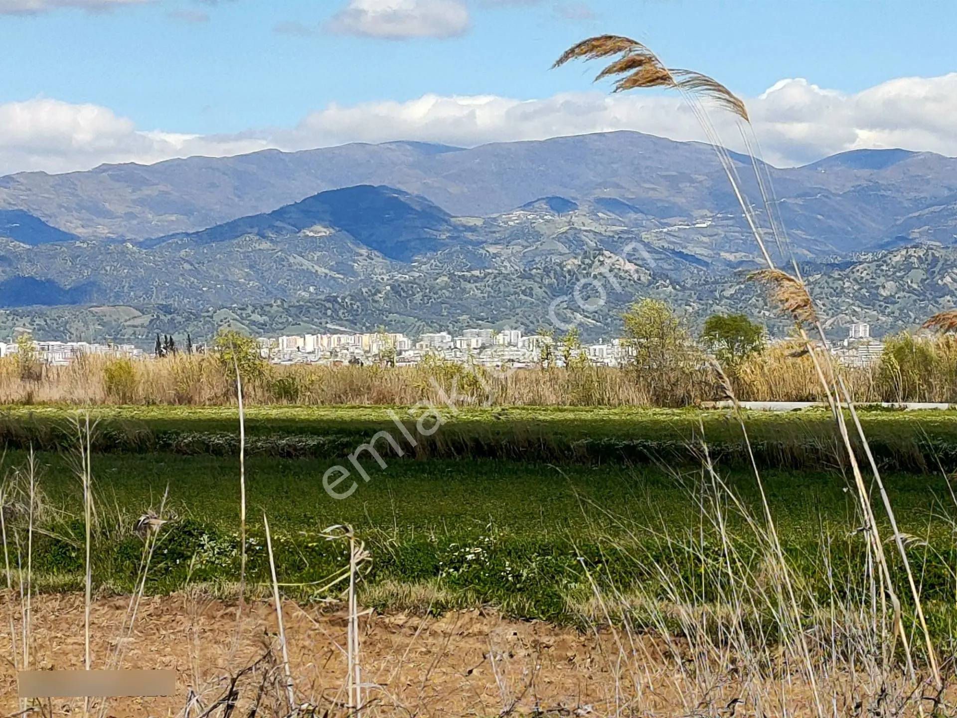 Sümer Mah De Satılık Sulak Ve Verimli Tarla