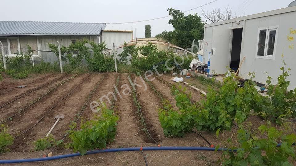 Çayırbağında Anayola Yakın 795m2 Kurulu Düzen Bahçe Evi - Görsel 4