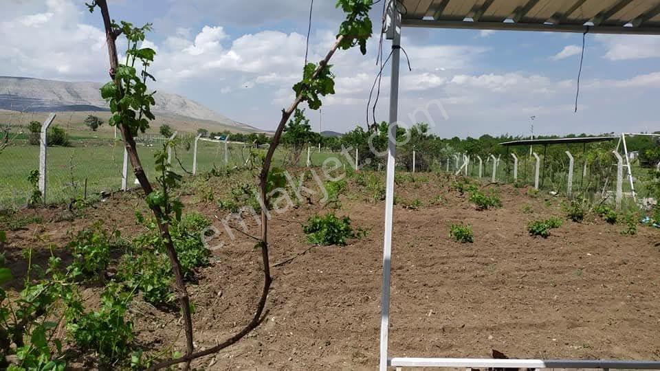 Çayırbağında Anayola Yakın 795m2 Kurulu Düzen Bahçe Evi - Görsel 2