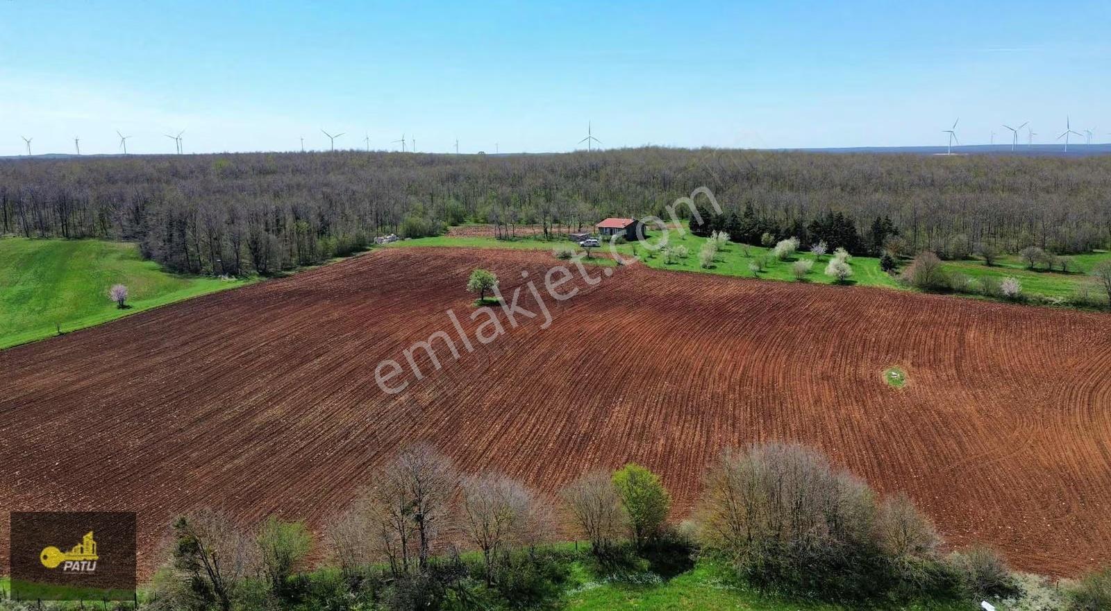 Patu Emlak'tan Gümüşpınar Mh.'de Orman Cepheli 25969m² Tarla - Görsel 25
