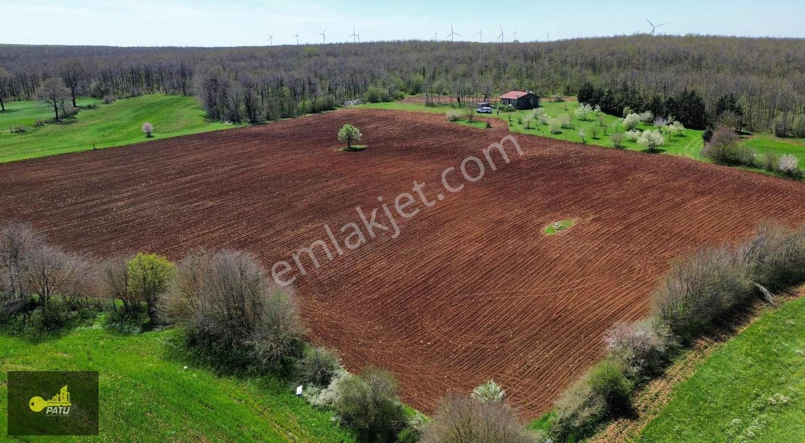 Patu Emlak'tan Gümüşpınar Mh.'de Orman Cepheli 25969m² Tarla - Görsel 7