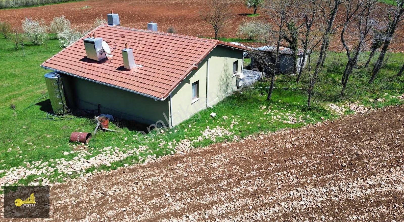 Patu Emlak'tan Gümüşpınar Mh.'de Orman Cepheli 25969m² Tarla - Görsel 9