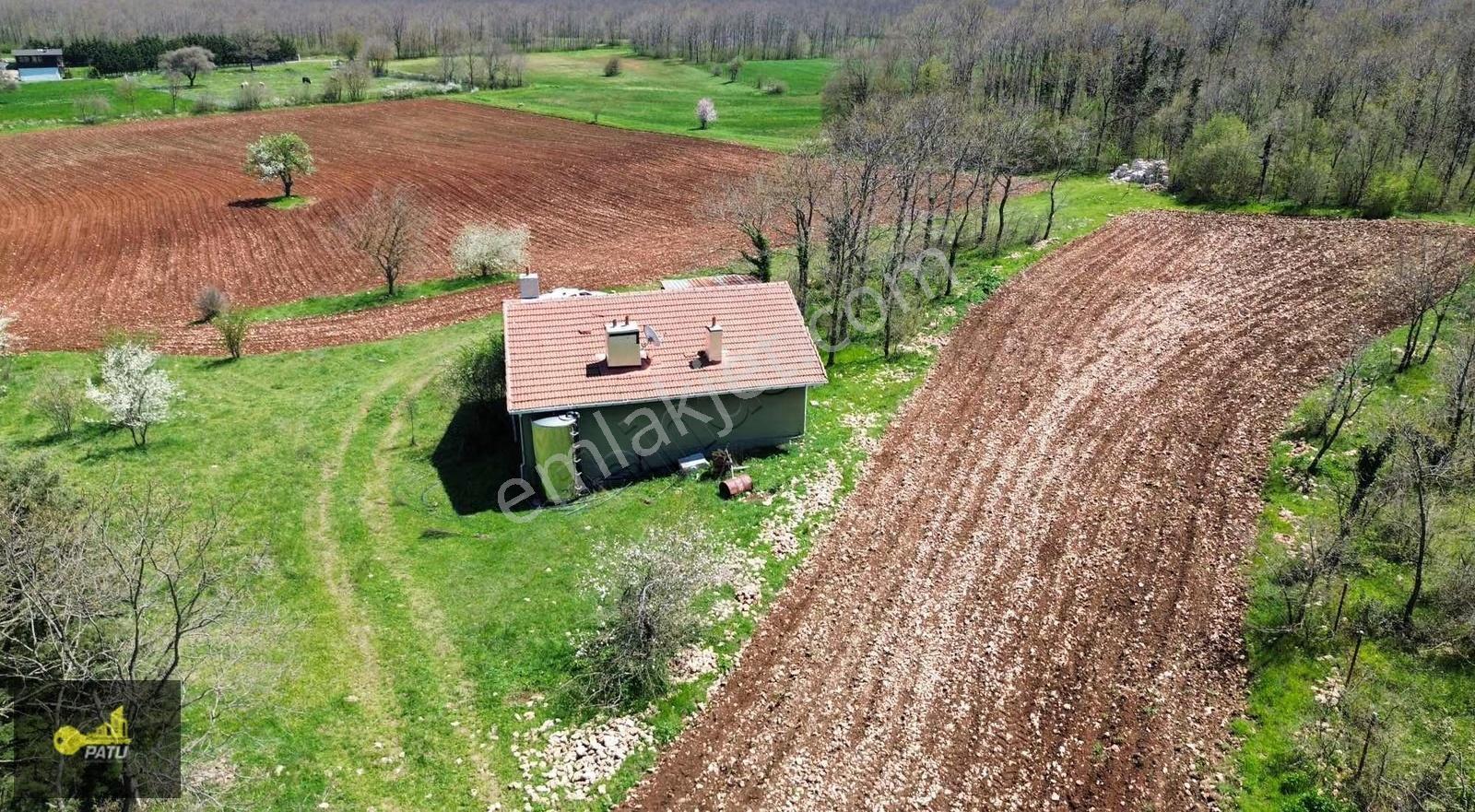 Patu Emlak'tan Gümüşpınar Mh.'de Orman Cepheli 25969m² Tarla - Görsel 11
