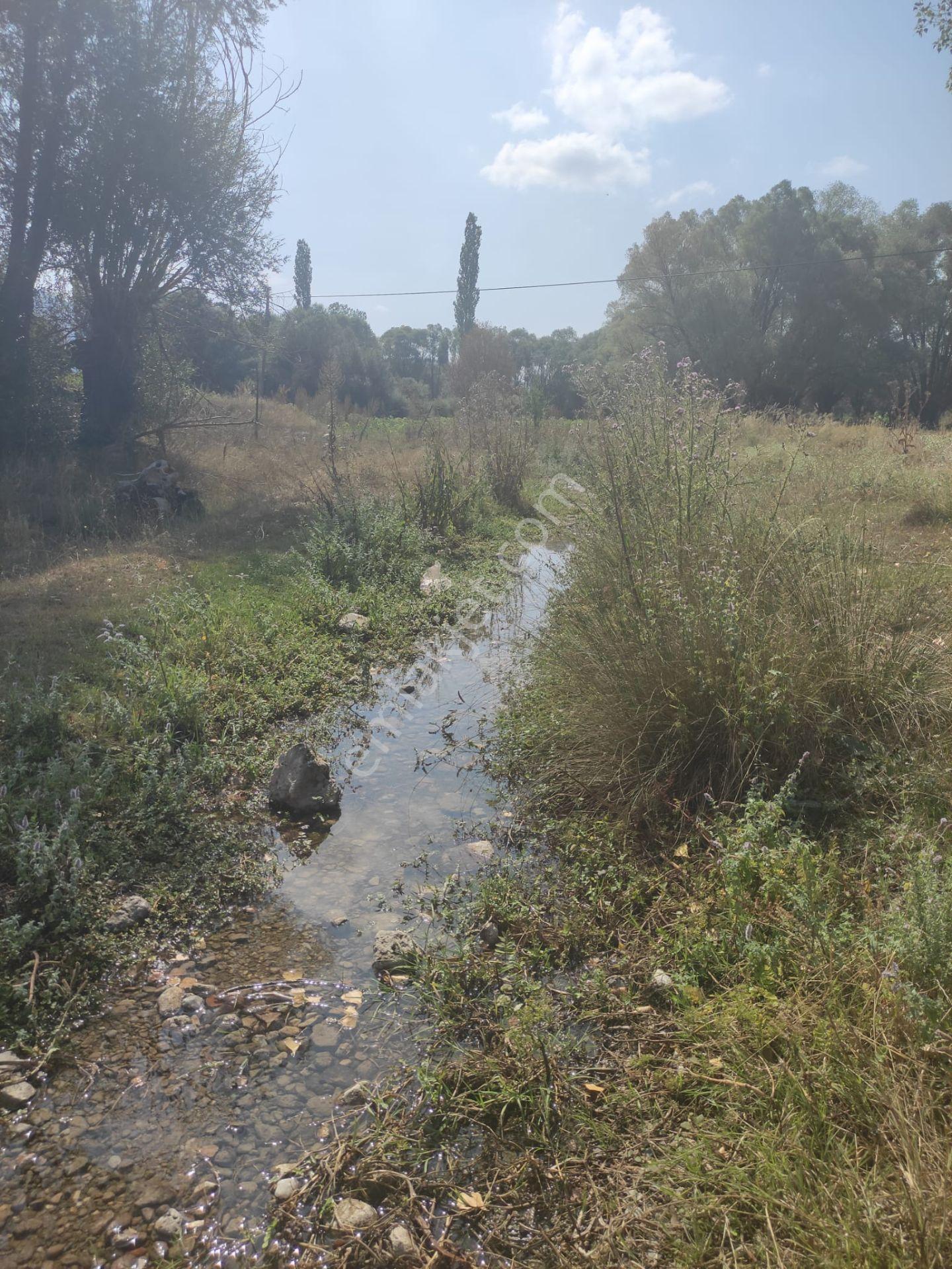 Sahibinden - Yapıldak'ta Dereye Sıfır - 2141m² - Yola Ve Köye Yakın - Görsel 5