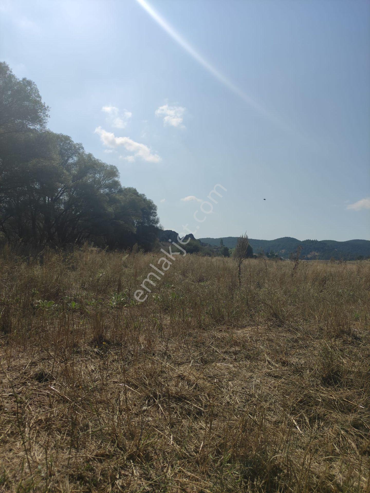 Sahibinden - Yapıldak'ta Dereye Sıfır - 2141m² - Yola Ve Köye Yakın