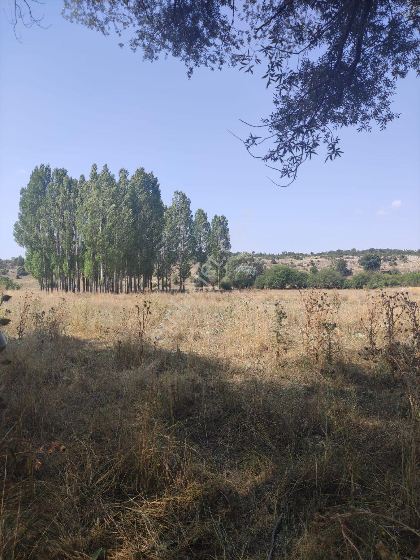 Sahibinden - Yapıldak'ta Dereye Sıfır - 2141m² - Yola Ve Köye Yakın - Görsel 6