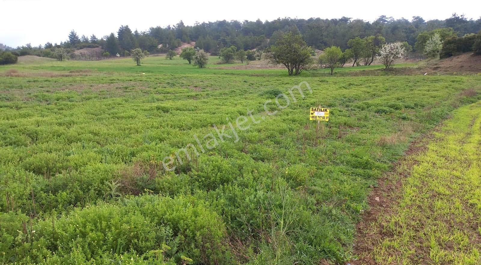 Denizli Yatağan'da İmarın Yanında 2368 M² Satılık Fırsat Arazi - Görsel 5