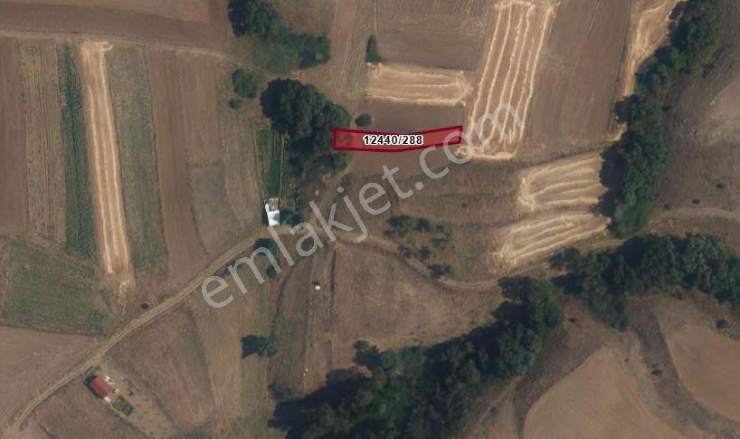 Sahibinden - Uludere’de Şehre Yakın - 555m² - Takasa Uygun - Yola 30m - Görsel 8