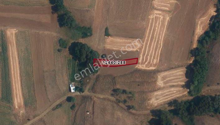Sahibinden - Uludere’de Şehre Yakın - 555m² - Takasa Uygun - Yola 30m - Görsel 7