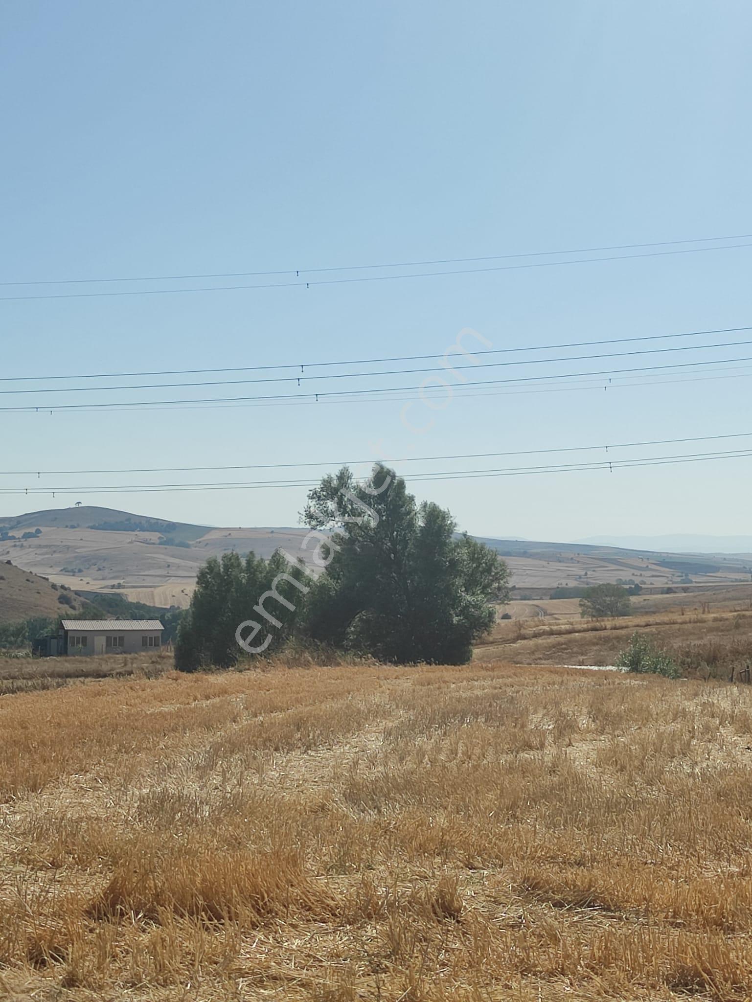 Sahibinden - Uludere’de Şehre Yakın - 555m² - Takasa Uygun - Yola 30m - Görsel 3