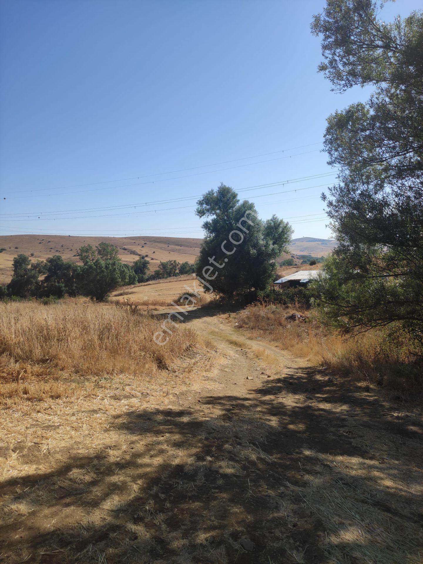 Sahibinden - Uludere’de Şehre Yakın - 555m² - Takasa Uygun - Yola 30m - Görsel 4