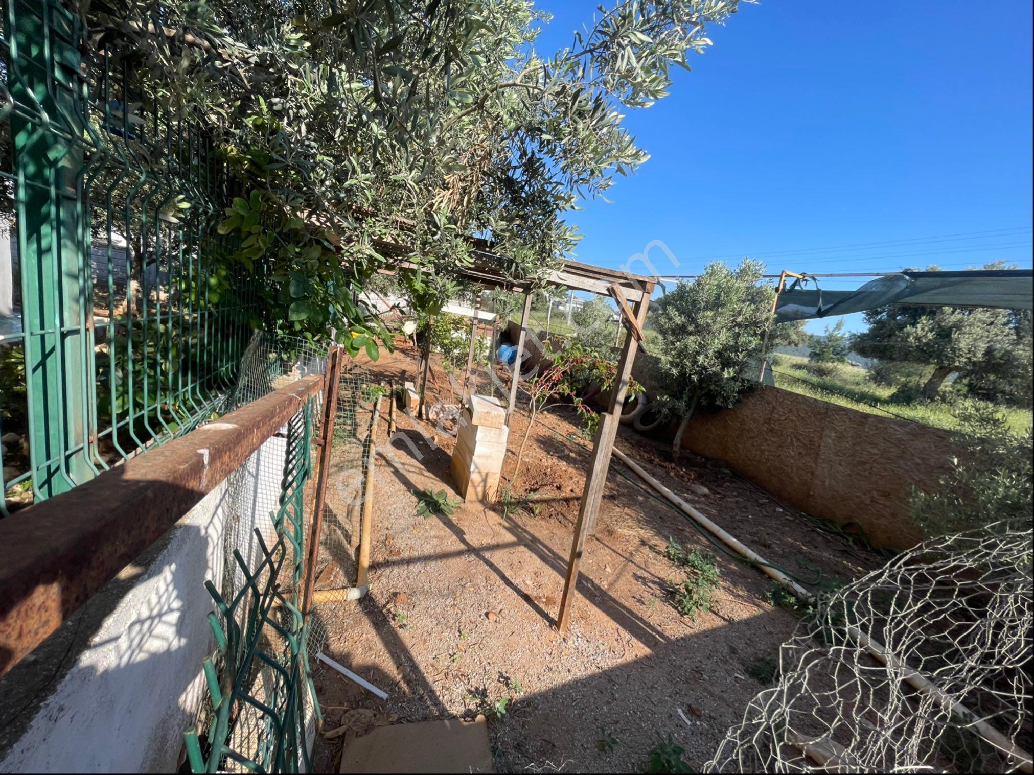 Didim Akbük Hekimler Sitesi’nde 5+1 Tripleks Lüks Villa – Geniş Ailelere Özel Yaşam - Görsel 18