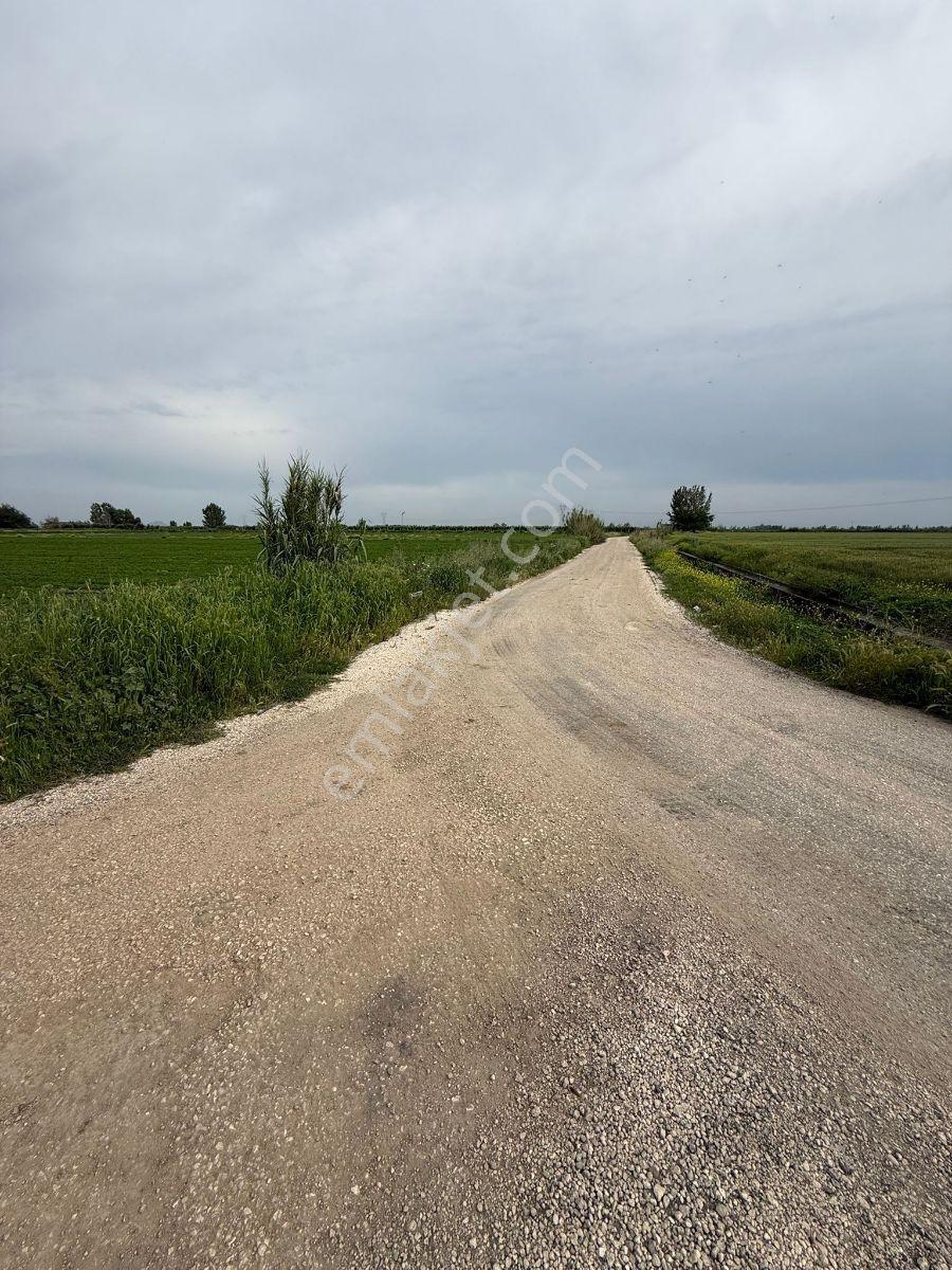 Akkapı'da Toplulaştırma Görmüş Asfalt Yol Üstü - Görsel 2