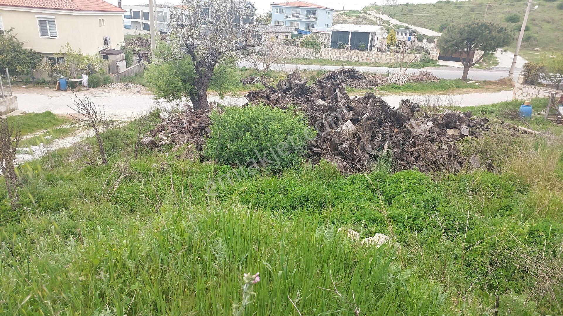 Kuşadası Yaylaköyde Full Deniz Manzaralı Villa İmarlı 485 M2 Harika Arsa - Görsel 3