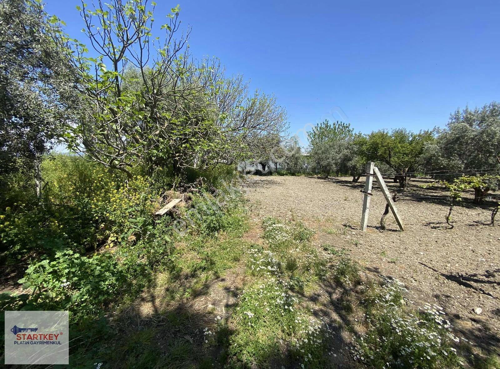 Lüks Ve Konforun Doğayla Birleşmiş Hali - Görsel 5