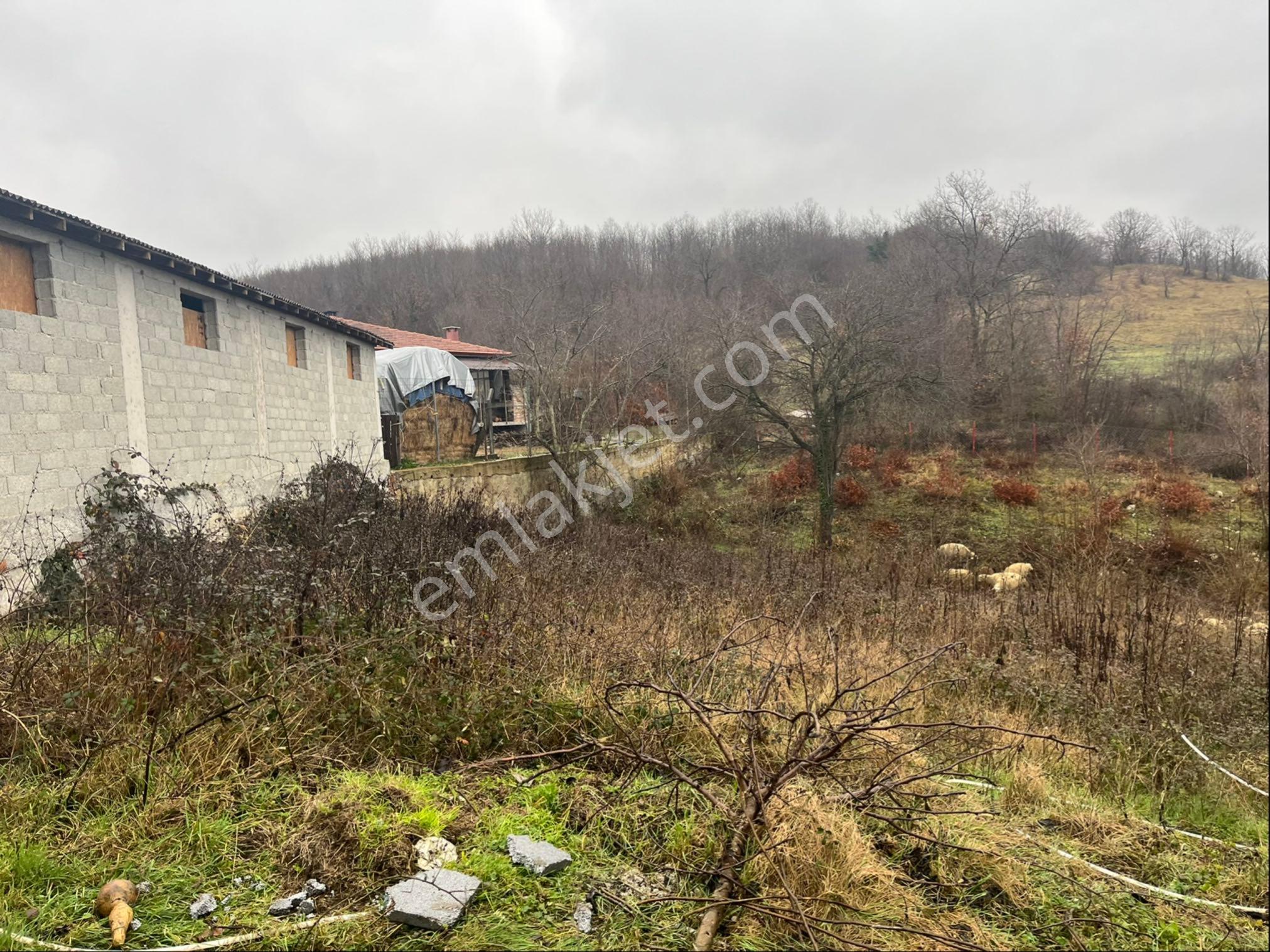 Acil Satılık!!! Vize Hamidiye Köy İçi 2418 M² İmarlı Yola Cephe Elektrik Su Var - Görsel 9