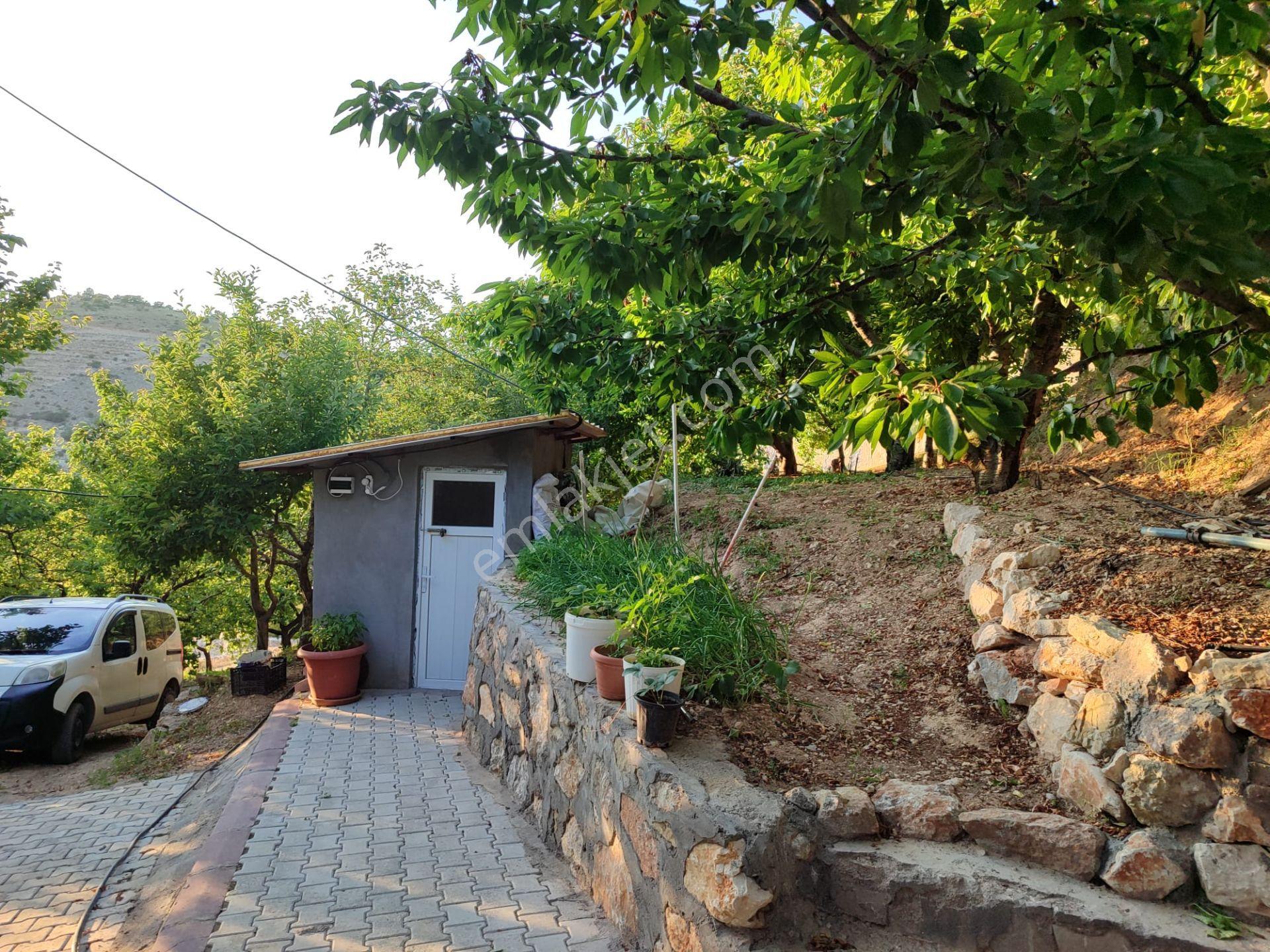Pex Anka'dan Gündüzbey'de Satılık 3.750 M² Arsa Vasfında Bahçe - Görsel 5