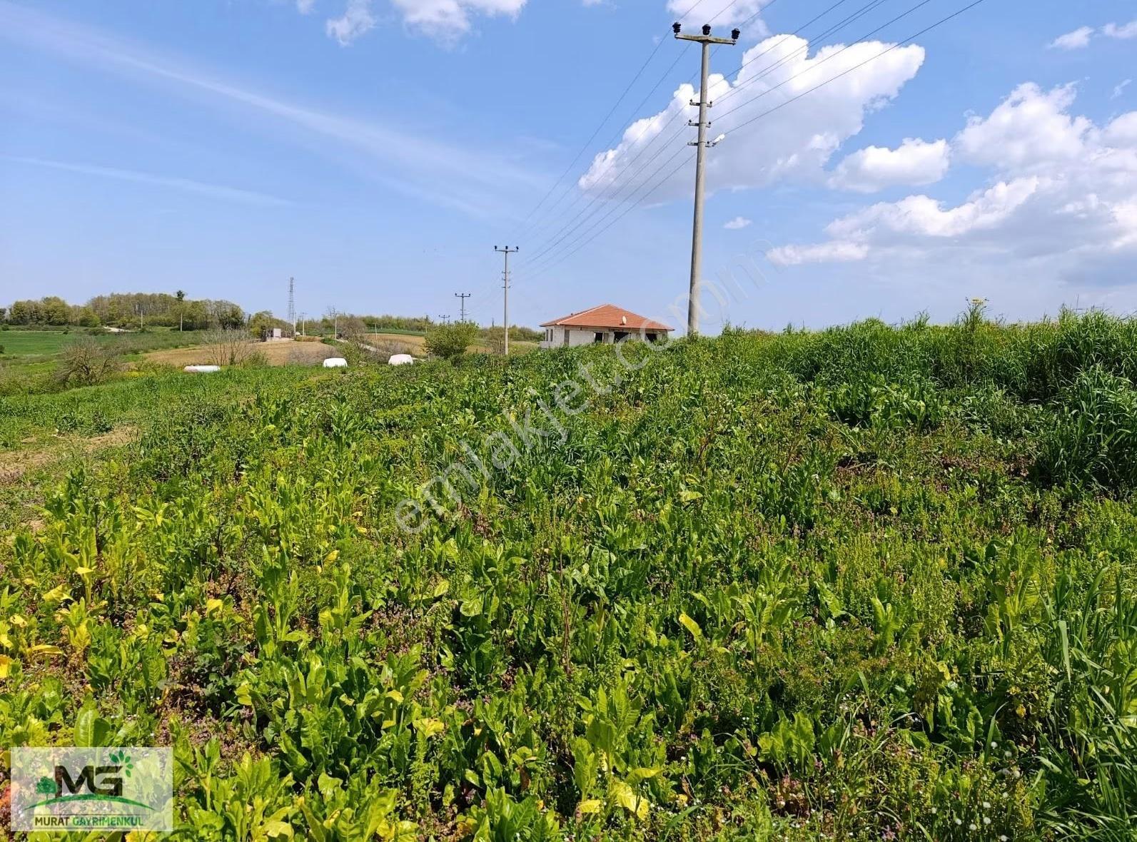 Kocaeli Kandıra Kanatlar Köyü Kelepir Arsa Yol Kenarı