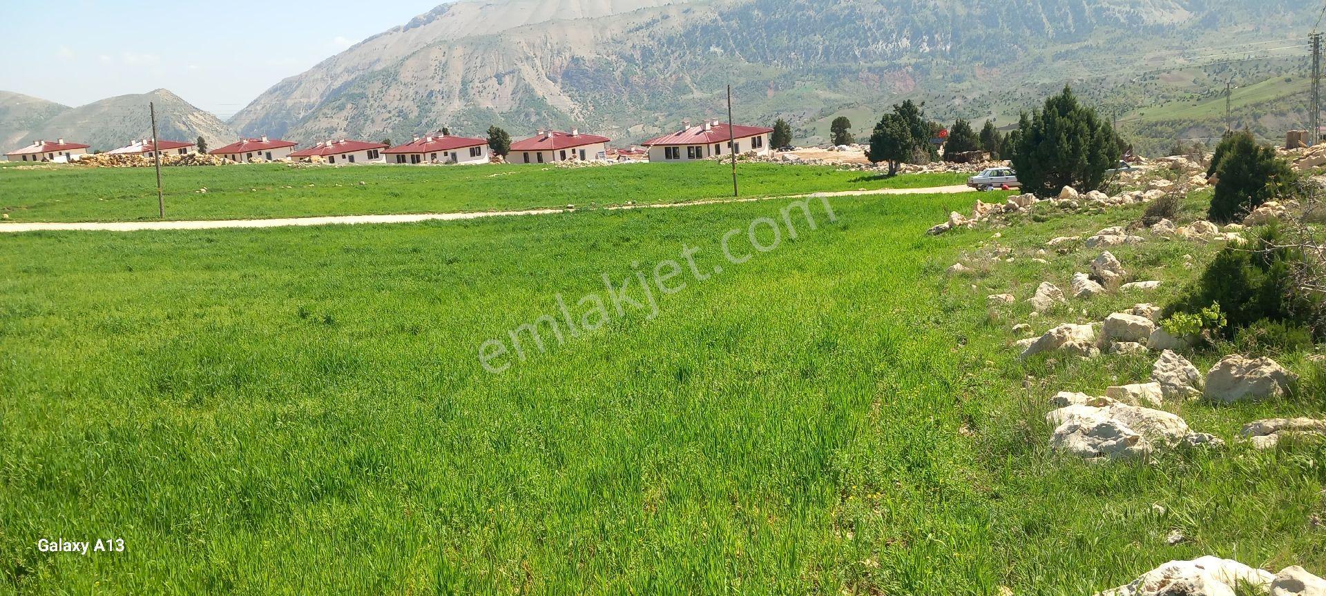 Villalık Tarla