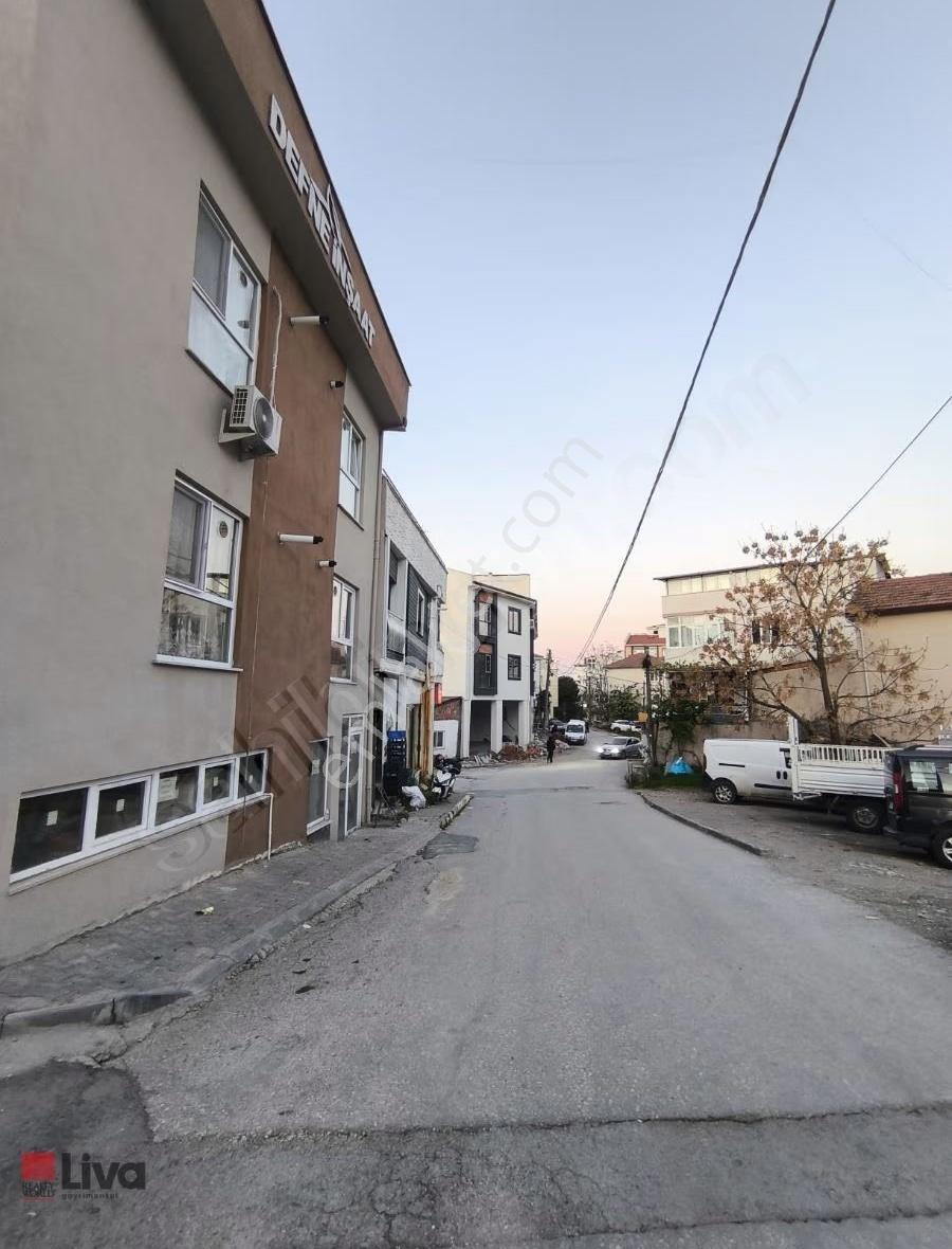 ▓liva'dan Nef'e Yakın | Soma Cad. Yakını | Eşyasız Kiralık 1+1▓ - Görsel 5