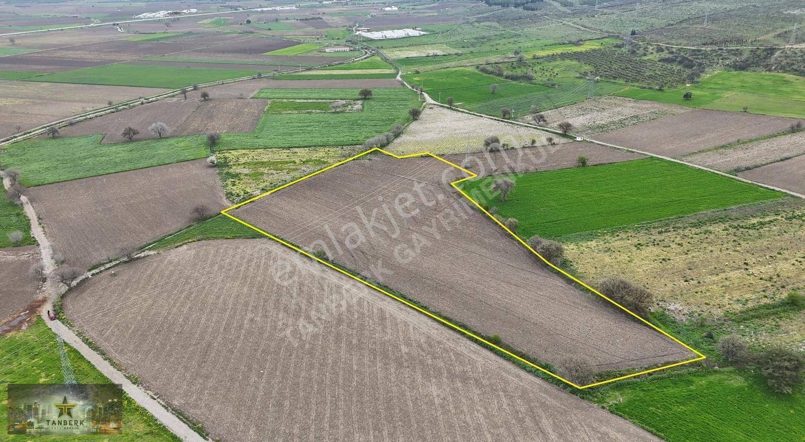 ^^satılık 22.638 M2 Tarla Elektrik Ve Sondajlı Kınık Osb Yakın - Görsel 4