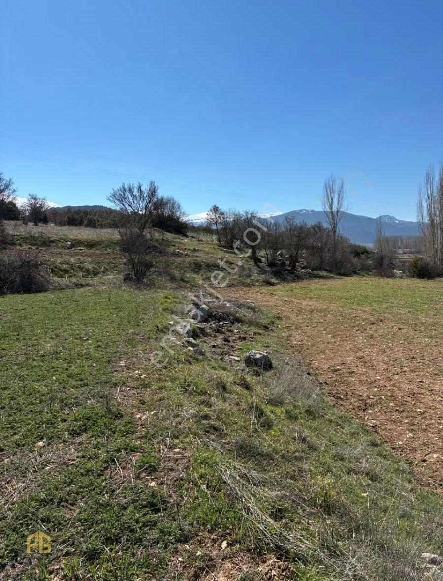 Seydikemer Sekide Satılık Tek Tapu 2.458m2 Arazi - Görsel 5