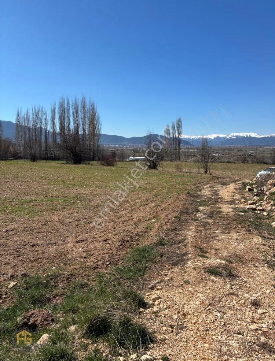 Seydikemer Sekide Satılık Tek Tapu 2.458m2 Arazi - Görsel 12