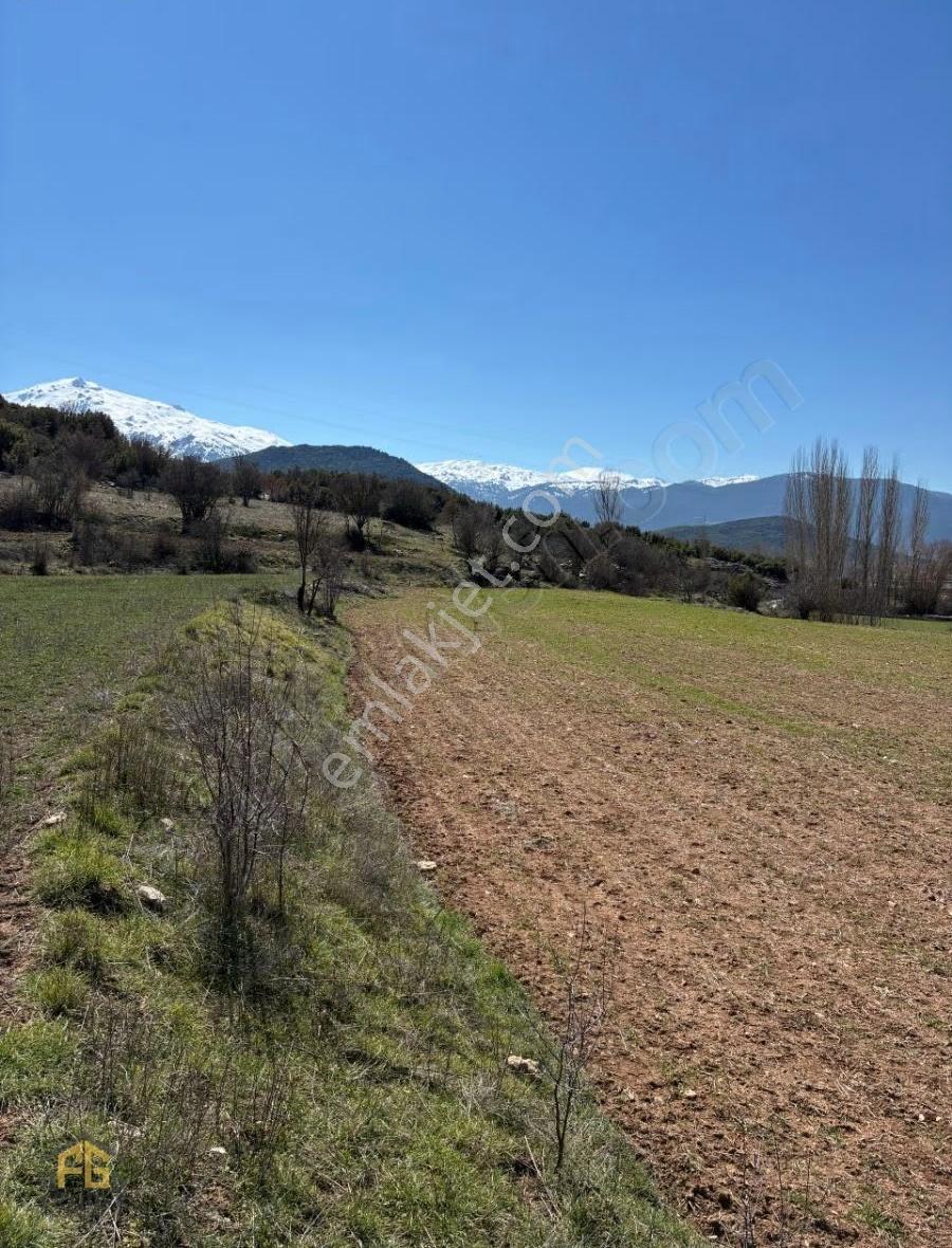Seydikemer Sekide Satılık Tek Tapu 2.458m2 Arazi - Görsel 13
