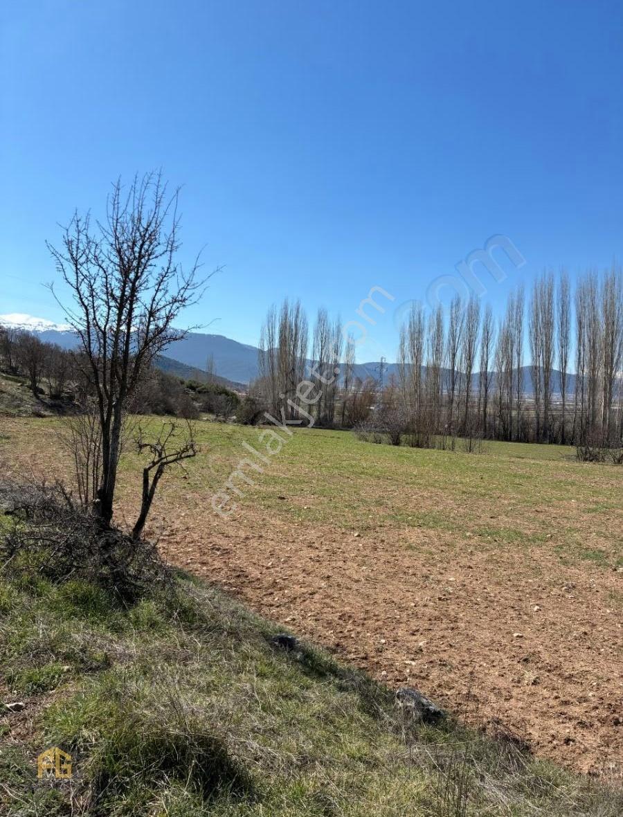 Seydikemer Sekide Satılık Tek Tapu 2.458m2 Arazi - Görsel 9