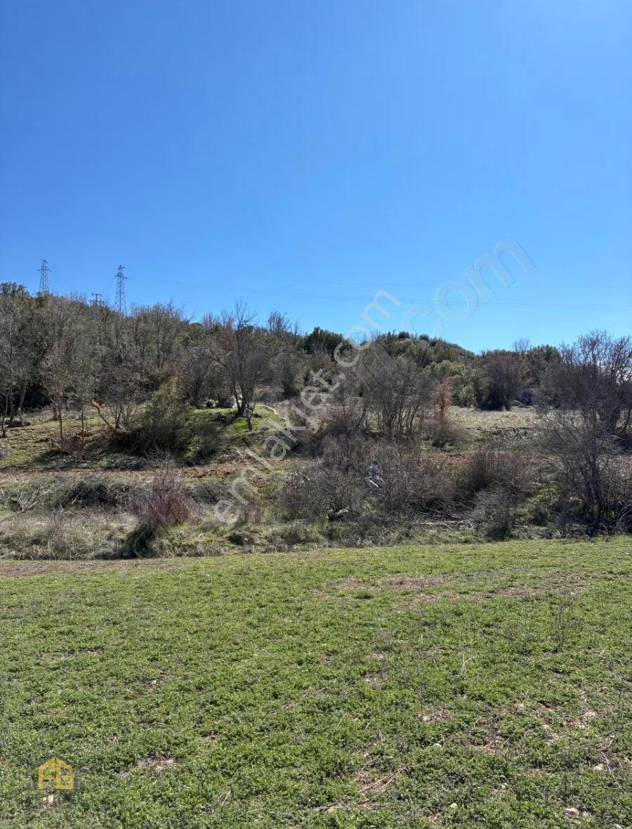 Seydikemer Sekide Satılık Tek Tapu 2.458m2 Arazi - Görsel 7