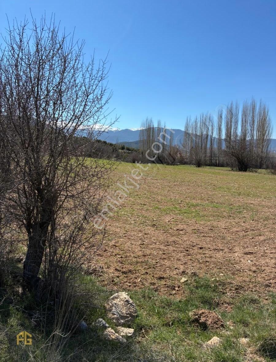 Seydikemer Sekide Satılık Tek Tapu 2.458m2 Arazi - Görsel 14