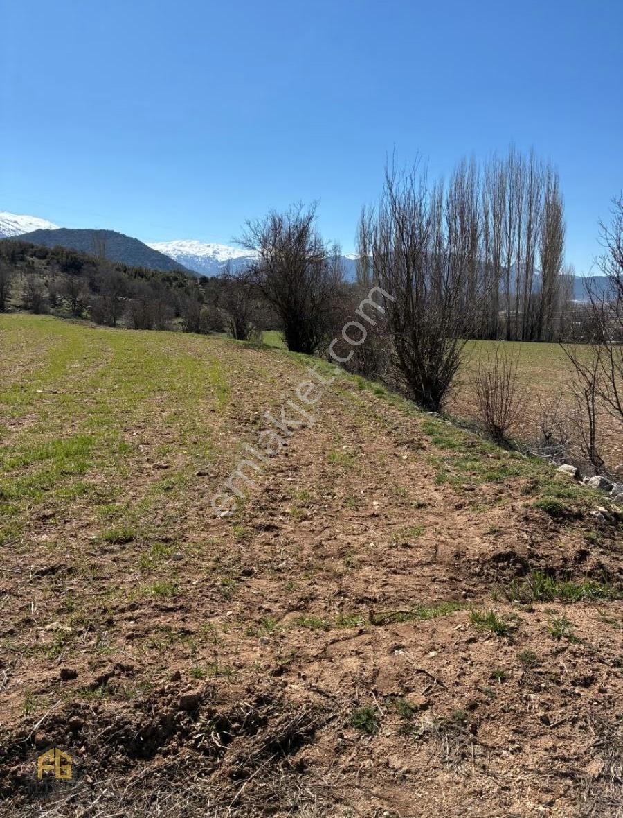 Seydikemer Sekide Satılık Tek Tapu 2.458m2 Arazi - Görsel 18
