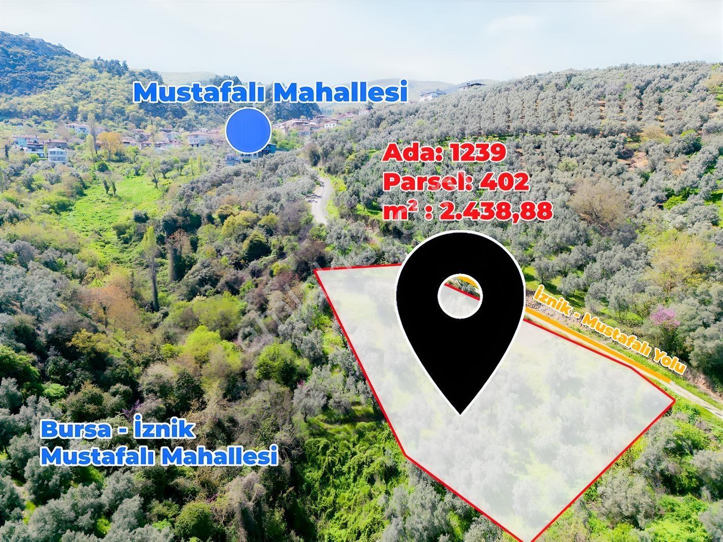 İznik Mustafalı'da Göl Manzaralı - 2.438 M² Yatırımlık Arazi