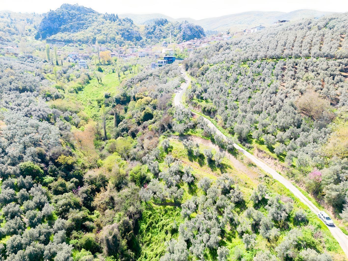 İznik Mustafalı'da Göl Manzaralı - 2.438 M² Yatırımlık Arazi - Görsel 18