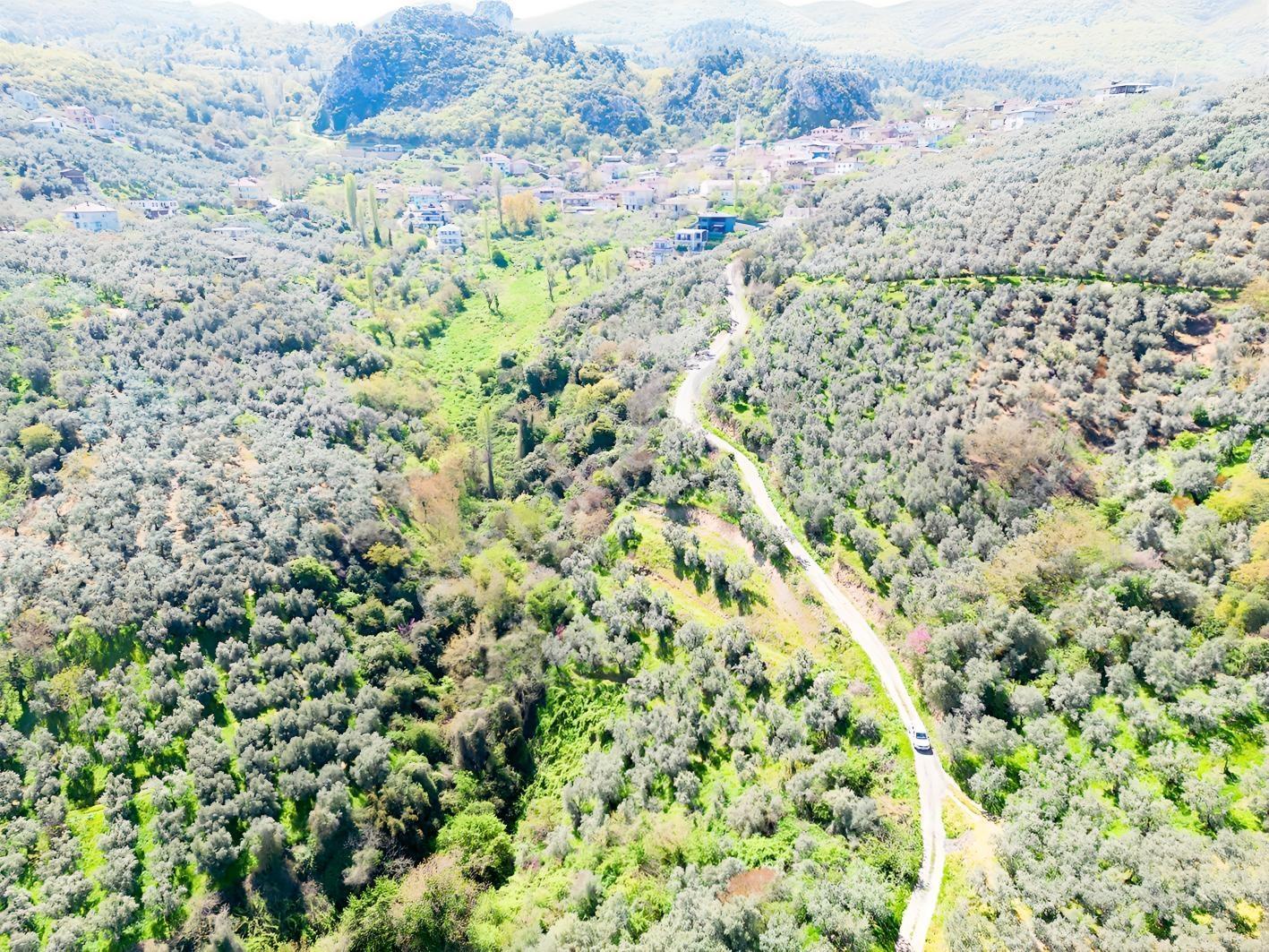 İznik Mustafalı'da Göl Manzaralı - 2.438 M² Yatırımlık Arazi - Görsel 9