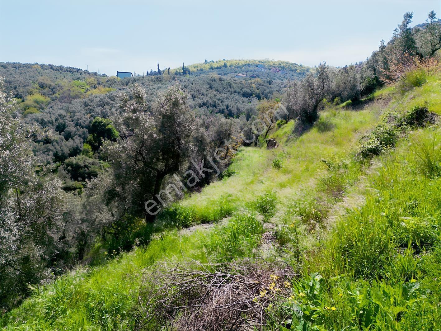 İznik Mustafalı'da Göl Manzaralı - 2.438 M² Yatırımlık Arazi - Görsel 10