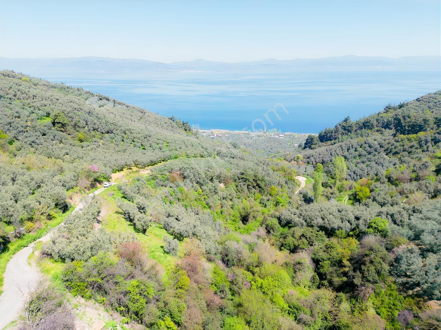 İznik Mustafalı'da Göl Manzaralı - 2.438 M² Yatırımlık Arazi - Görsel 25
