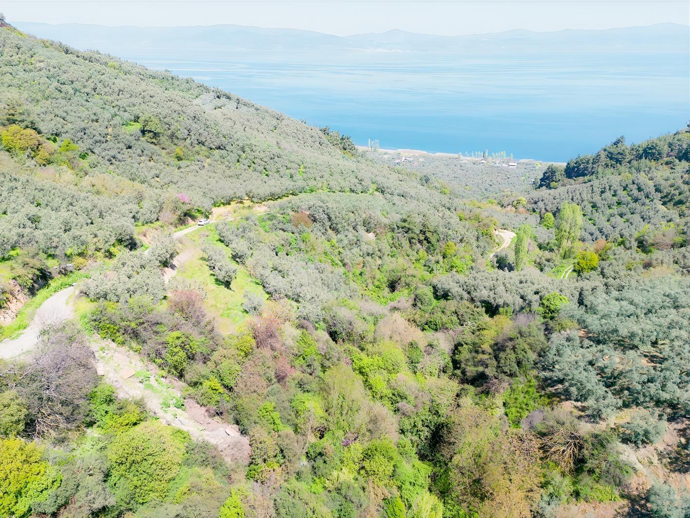 İznik Mustafalı'da Göl Manzaralı - 2.438 M² Yatırımlık Arazi - Görsel 6
