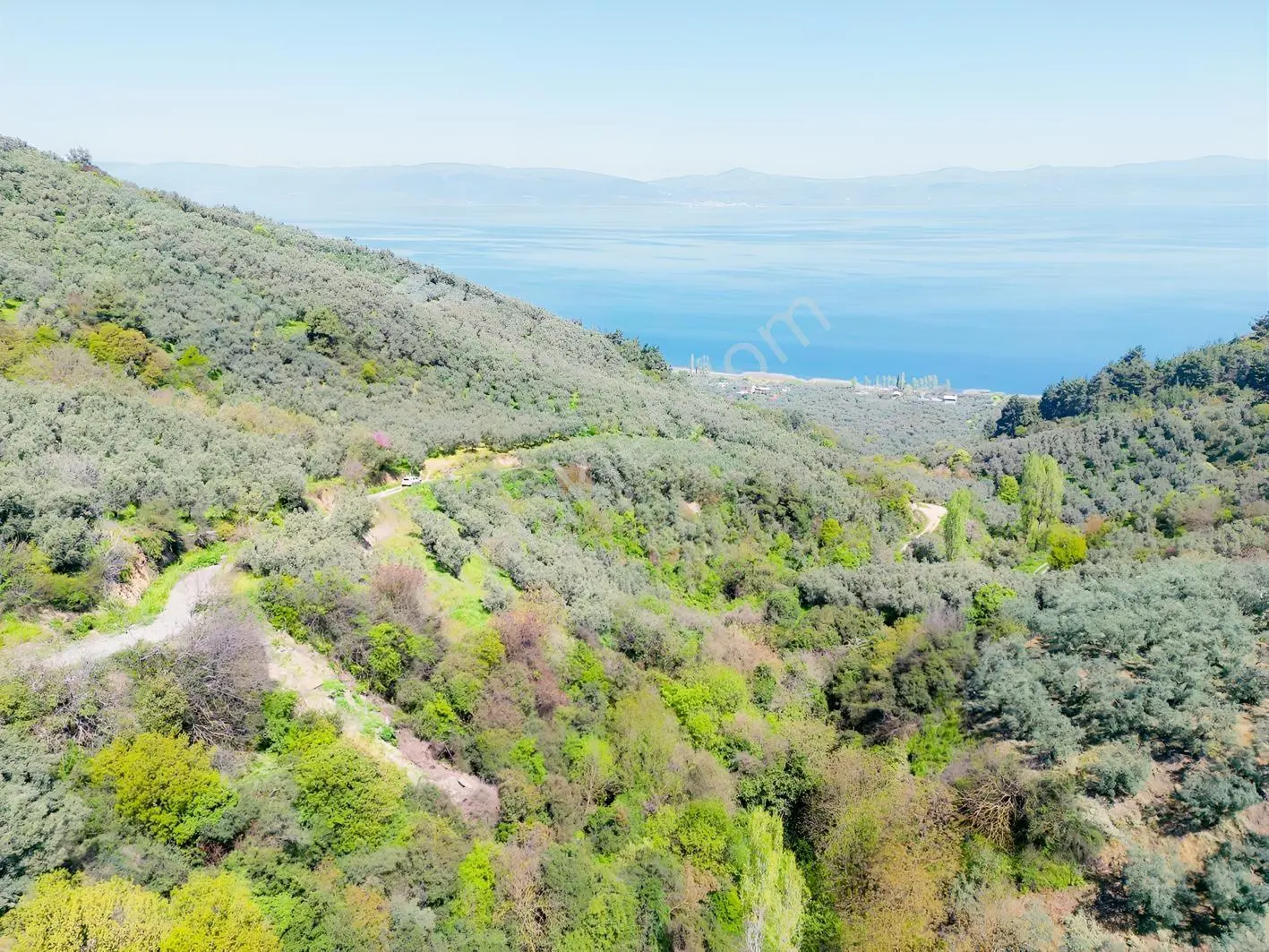 İznik Mustafalı'da Göl Manzaralı - 2.438 M² Yatırımlık Arazi - Görsel 28