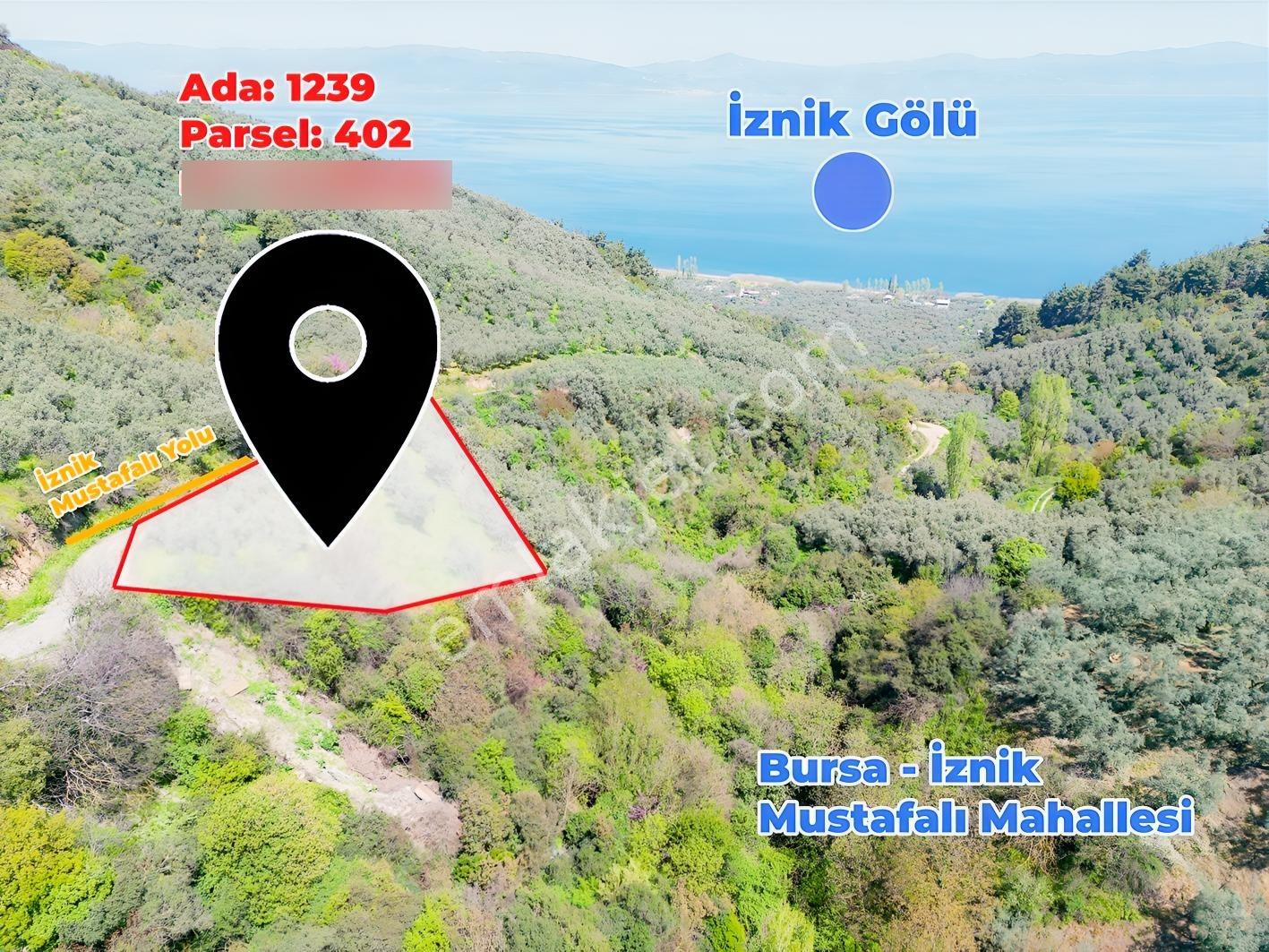 İznik Mustafalı'da Göl Manzaralı - 2.438 M² Yatırımlık Arazi - Görsel 2