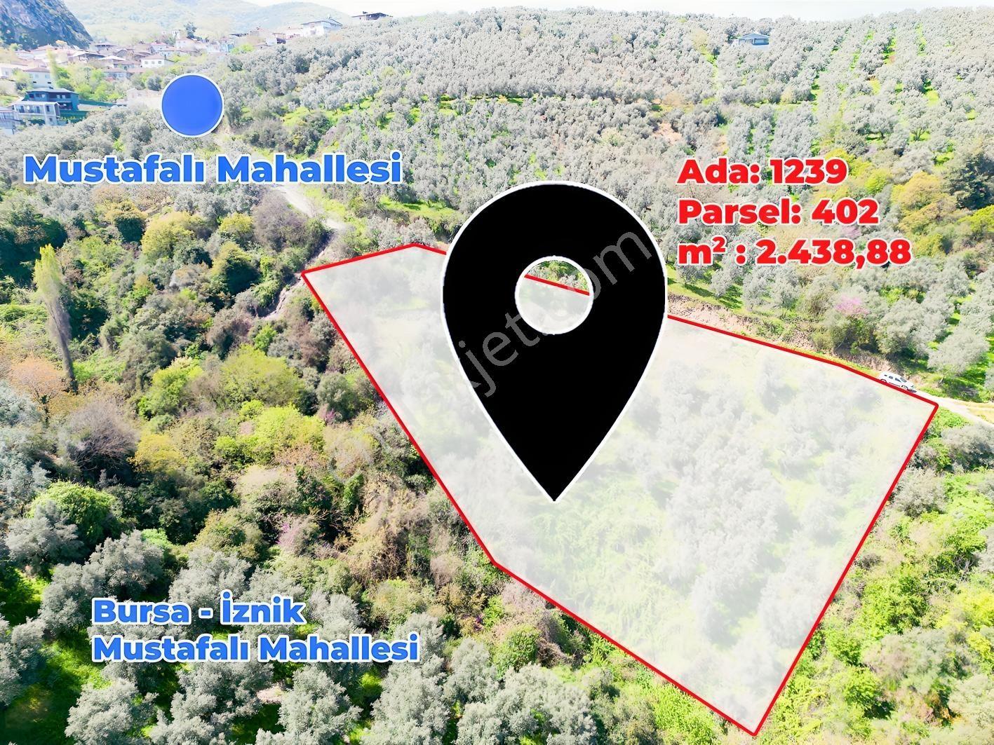 İznik Mustafalı'da Göl Manzaralı - 2.438 M² Yatırımlık Arazi - Görsel 3