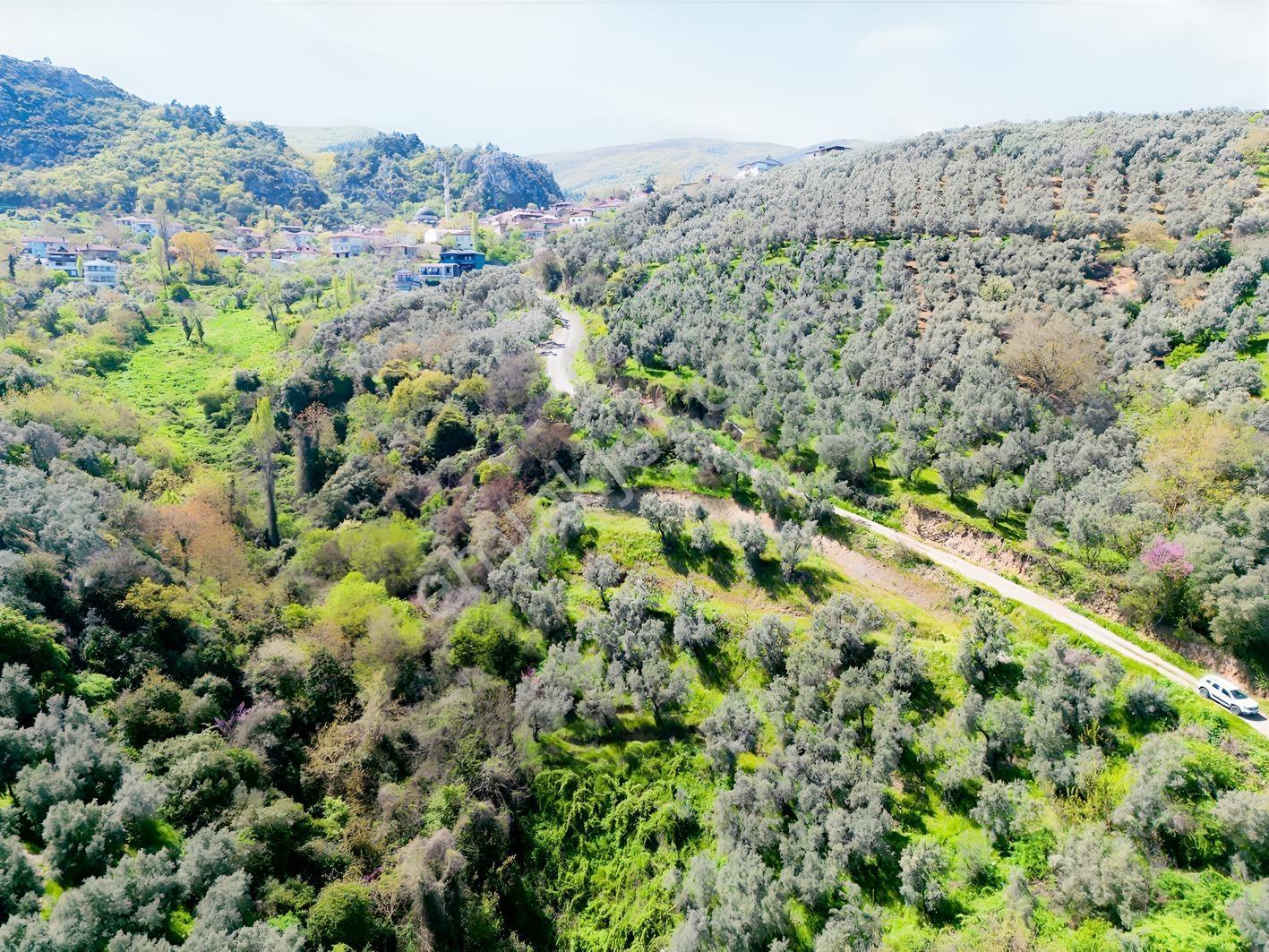 İznik Mustafalı'da Göl Manzaralı - 2.438 M² Yatırımlık Arazi - Görsel 5