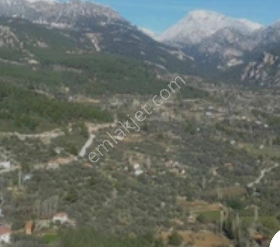 Seydikemer Yayla Gökben Mah. Satılık Arazi - Görsel 2