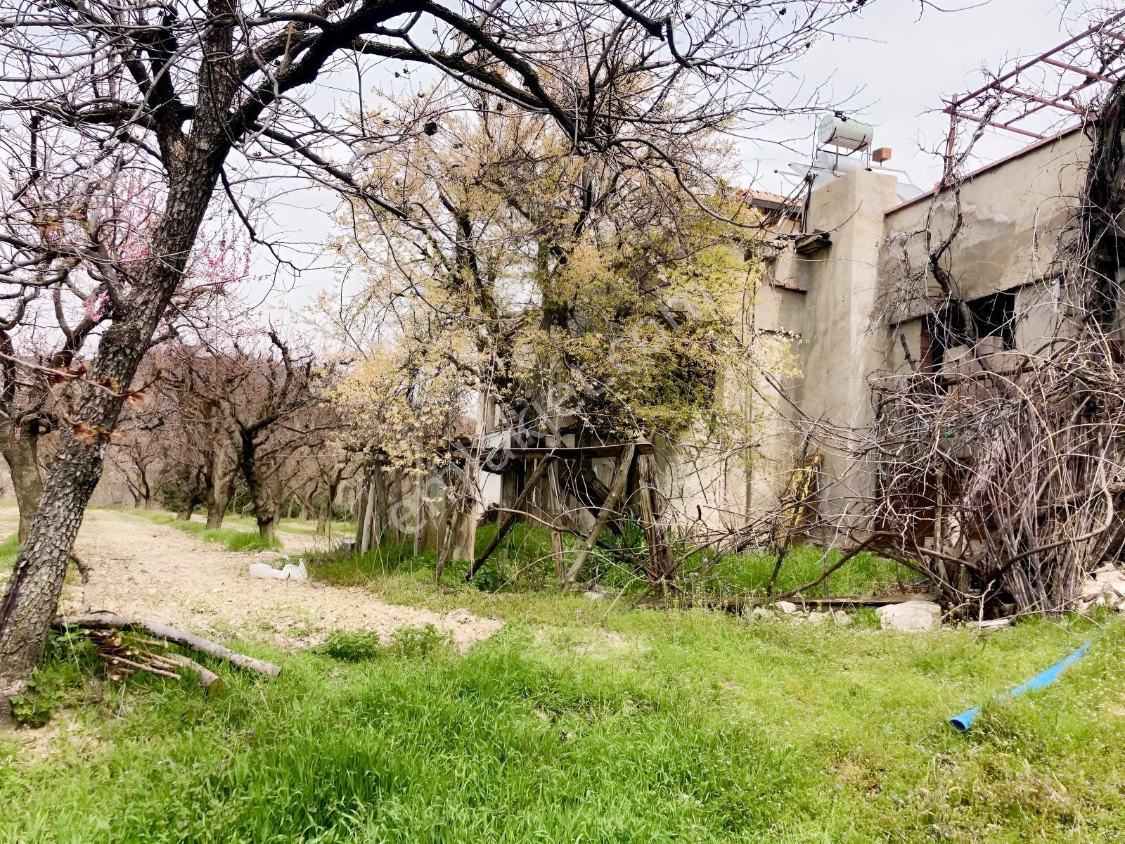 Korkuteli Sülekler Merkezde İçerisinde Evi Olan Bahçe ! - Görsel 28