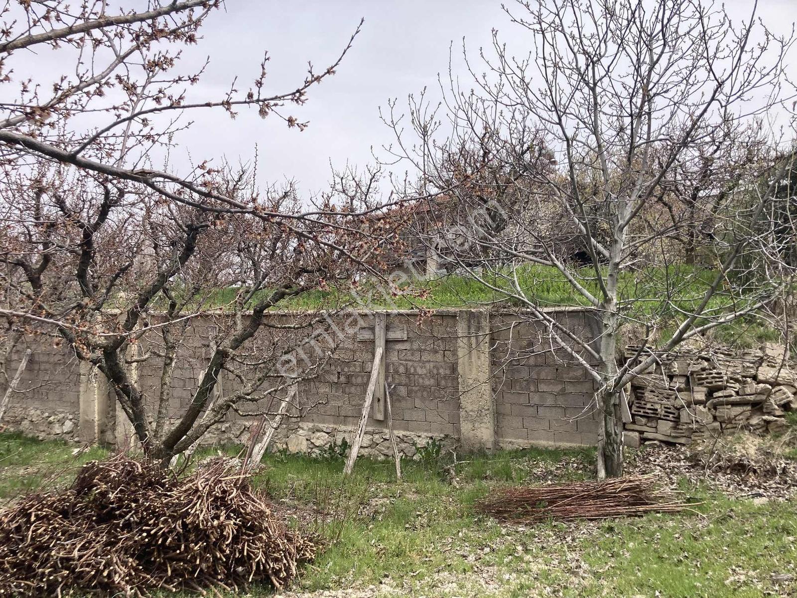 Korkuteli Sülekler Merkezde İçerisinde Evi Olan Bahçe ! - Görsel 30