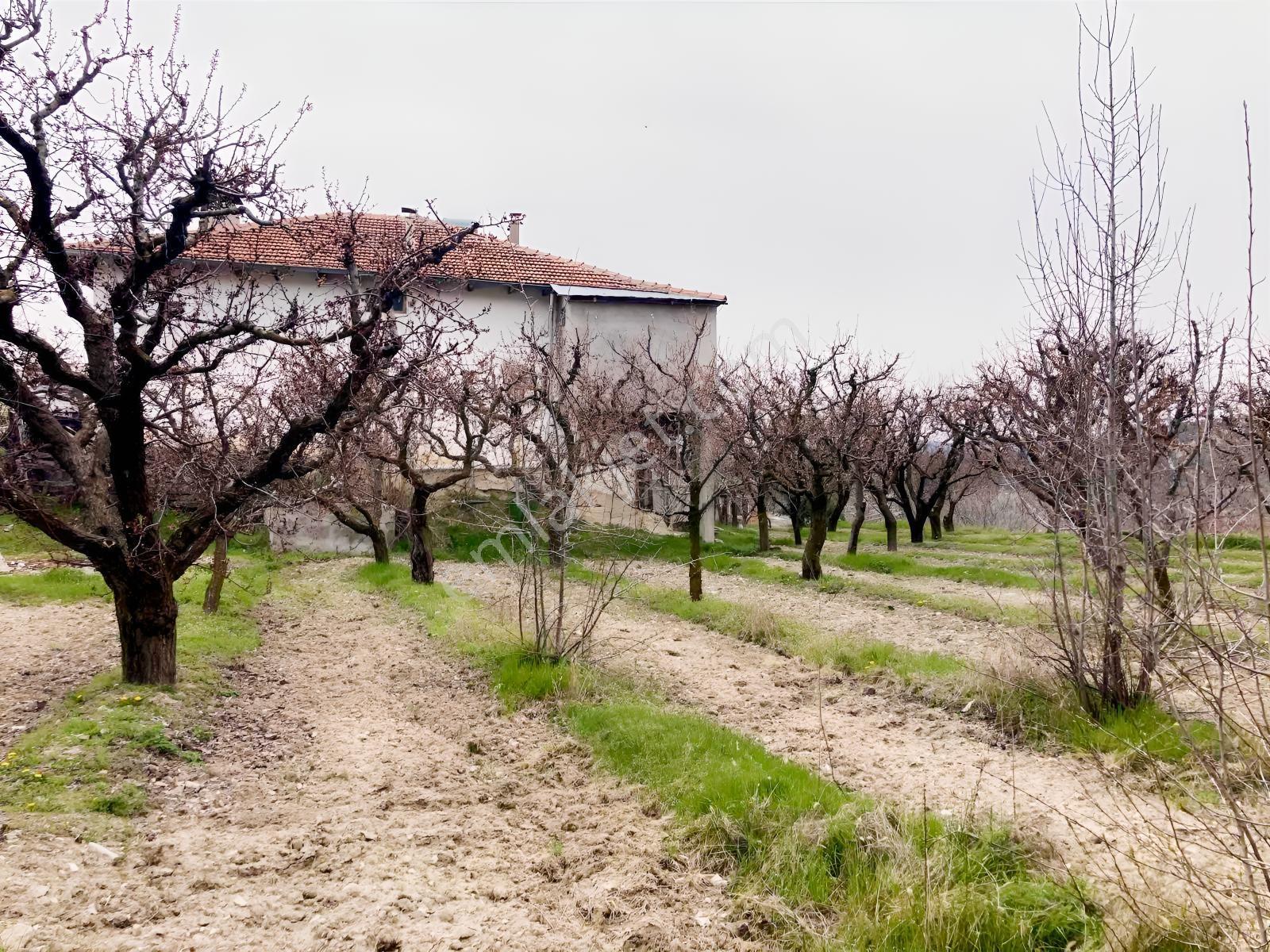 Korkuteli Sülekler Merkezde İçerisinde Evi Olan Bahçe ! - Görsel 32