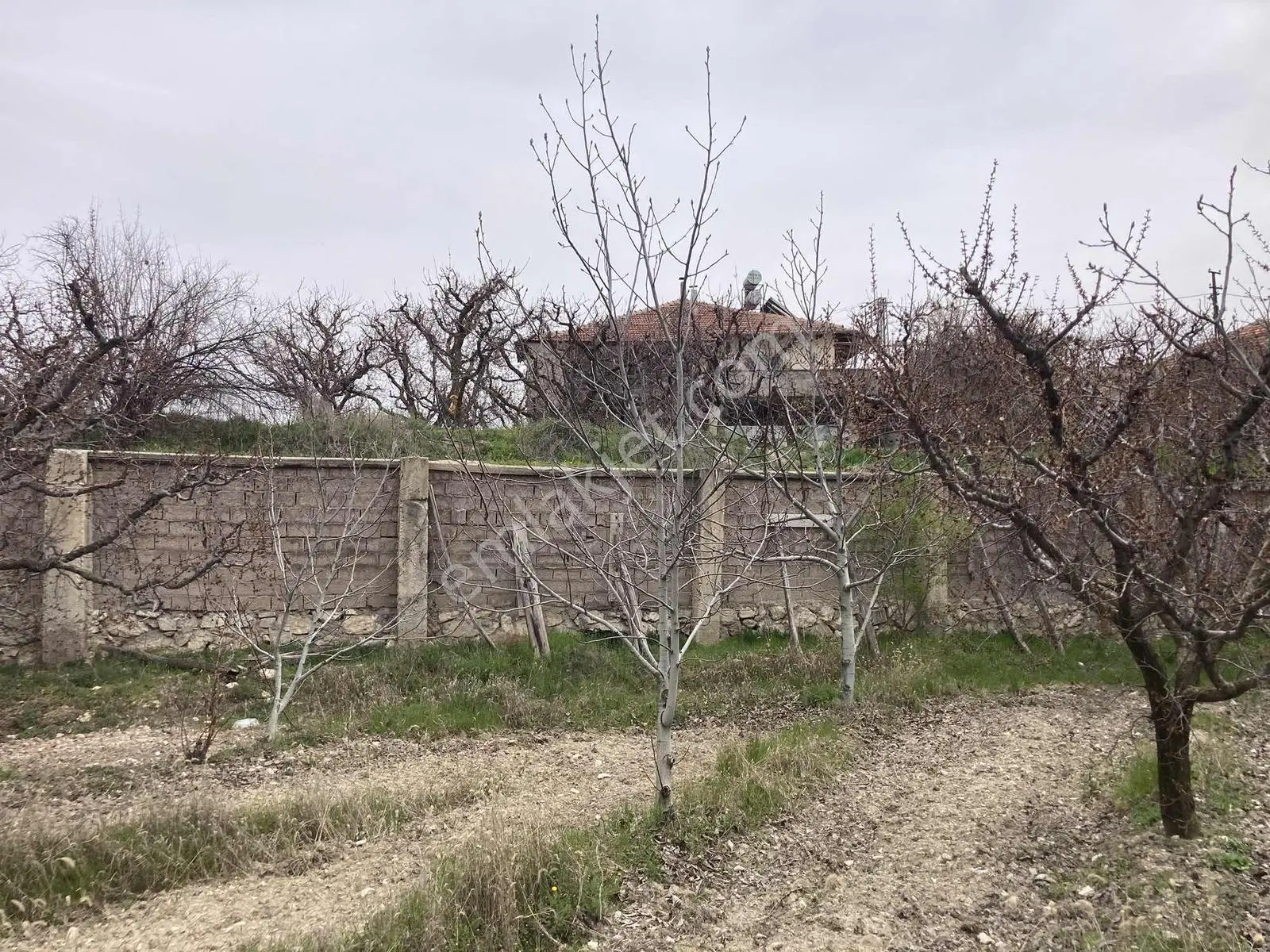Korkuteli Sülekler Merkezde İçerisinde Evi Olan Bahçe ! - Görsel 34